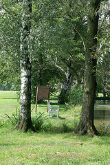 benko, lago, arbotrunkoj