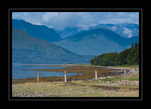 Rives du Loch Eil