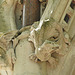 buxton memorial fountain,westminster