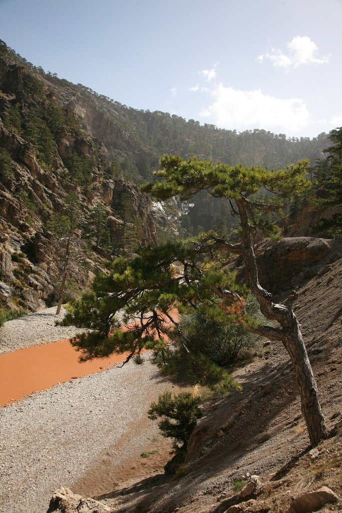 Gorge - Turkey 2010