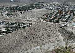 Palm Springs Garstin trail (4926)