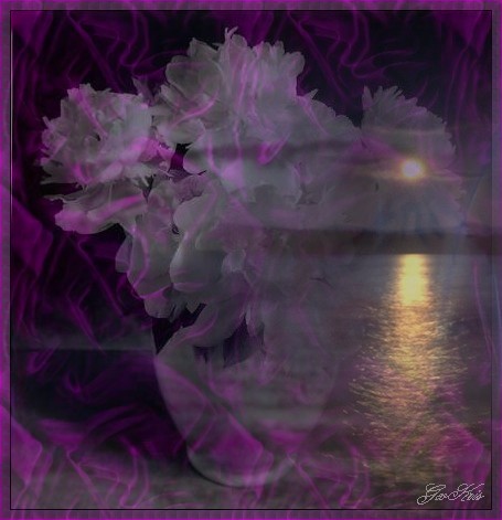 Pivoines...... du bout du monde .....