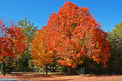 Explosion de couleurs