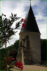 Chateau de Montpoupon (37)
