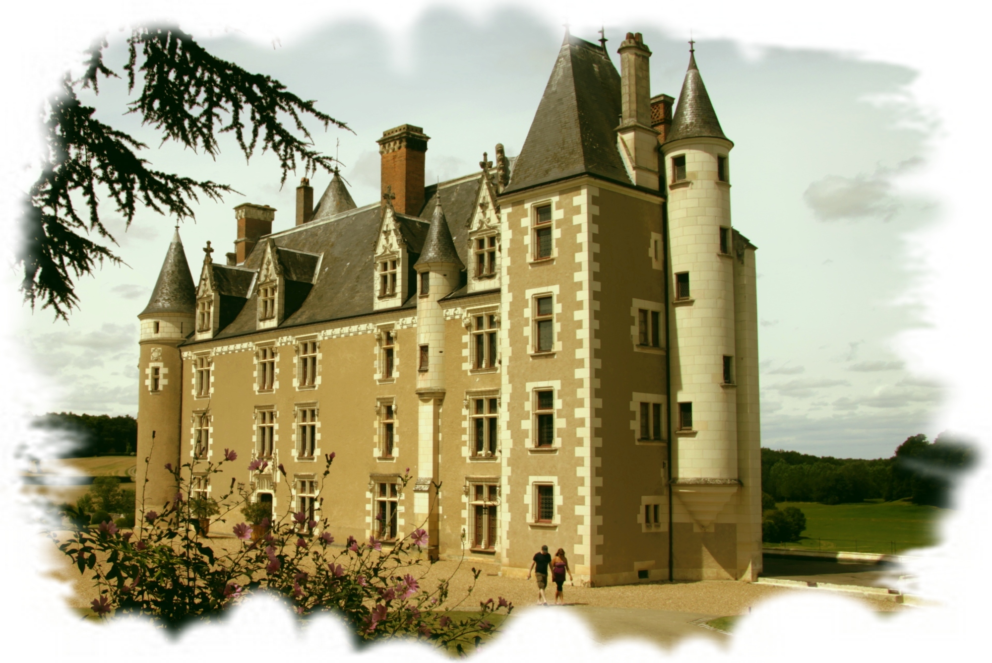 Chateau de Montpoupon (37)