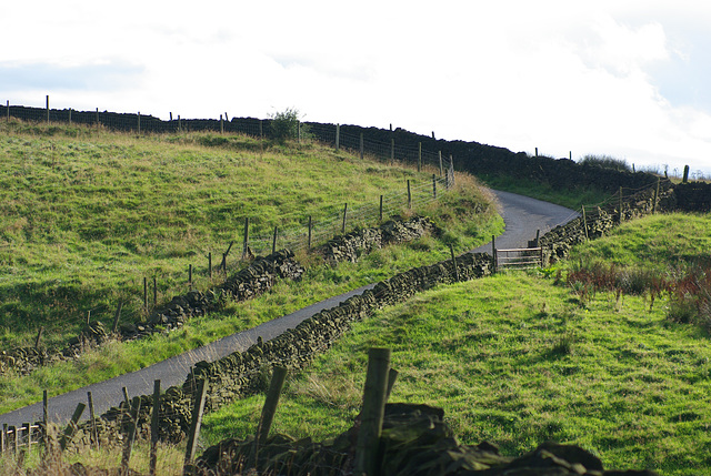 Padfield Views and wildlife