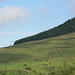 Padfield Views and wildlife