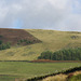 Padfield Views and wildlife