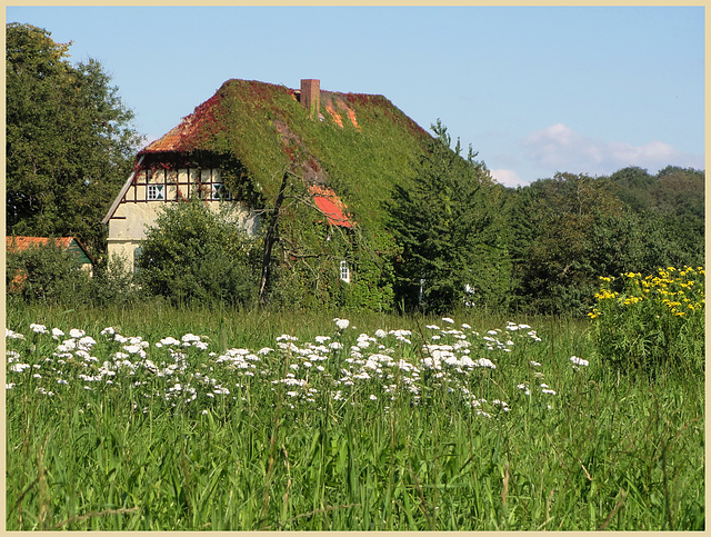 Burg Scheventorf bei Bad Iburg