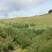 Padfield Views and wildlife