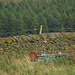 Padfield Views and wildlife