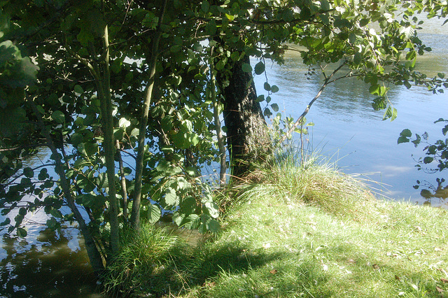 Paradizo ĉe lago de Waldenburg