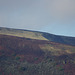 Padfield Views and wildlife