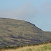 Padfield Views and wildlife