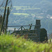 Padfield Views and wildlife