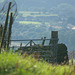 Padfield Views and wildlife
