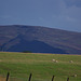 Padfield Views and wildlife