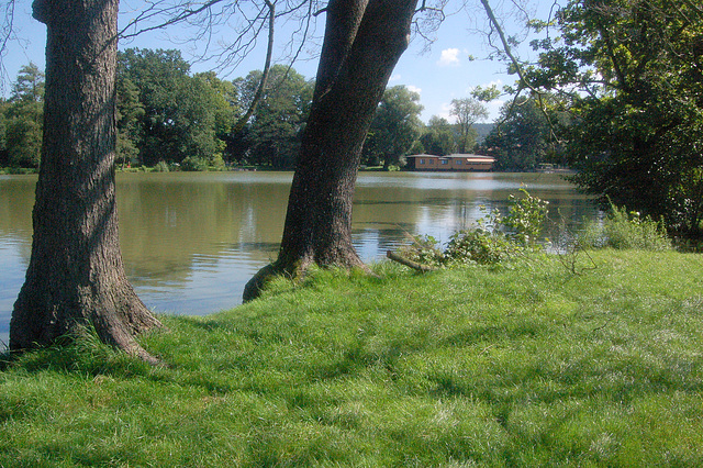 Lago kun restoracio