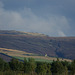 Padfield Views and wildlife