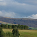 Padfield Views and wildlife