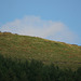 Padfield Views and wildlife