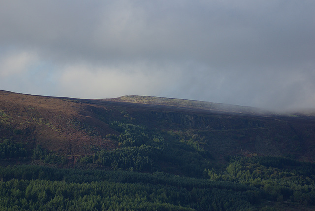 Padfield Views and wildlife