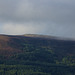 Padfield Views and wildlife