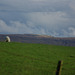 Padfield Views and wildlife