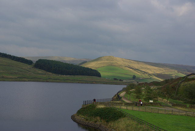 Woodhead