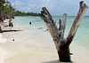 Cayo Blanco, ou le Paradis retrouvé