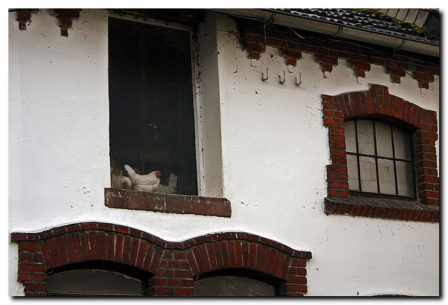 "Hühnerfenster" im Obergeschoss