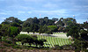 Military Cemetery on Point Loma (2153)