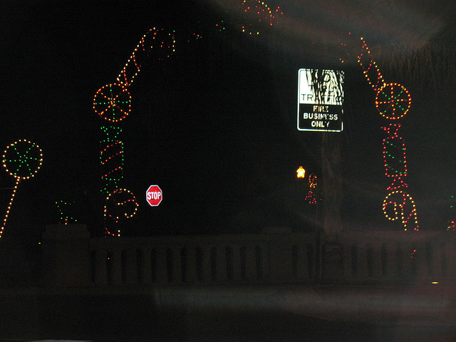 Christmas light near the lake..