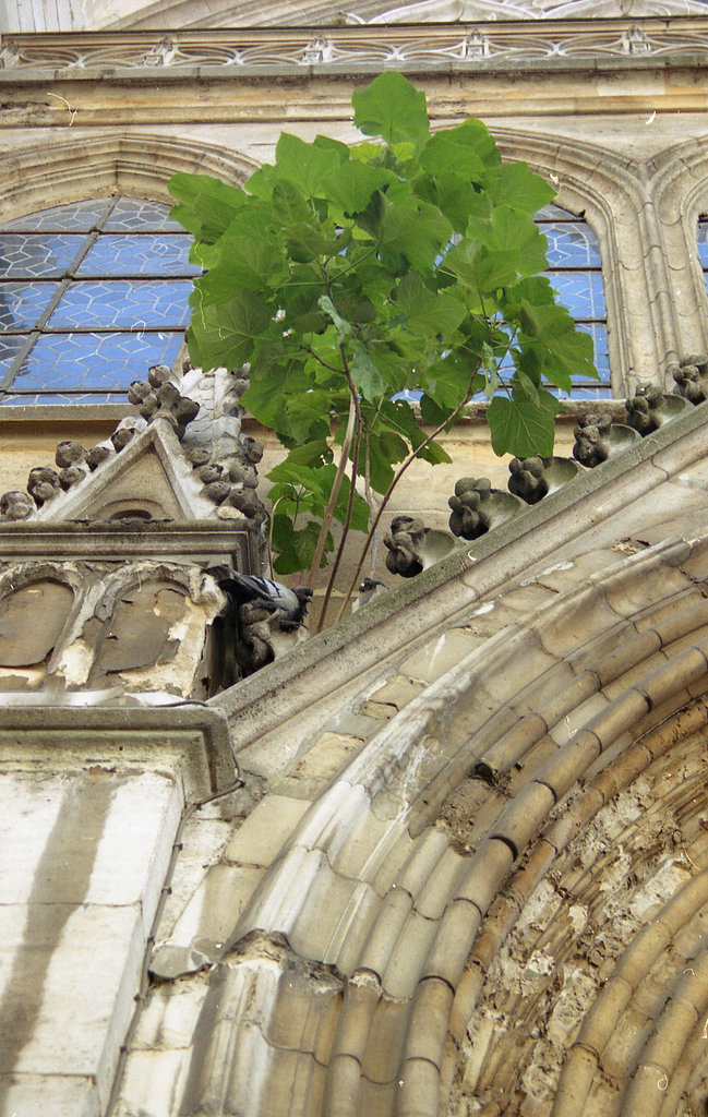 Aix en Provence