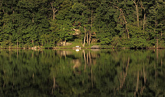 Reflections