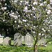 north weald bassett tombstones c18