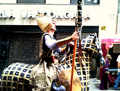 Caballero encantado.