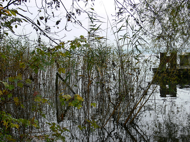 Herbsttage am Starnberger See