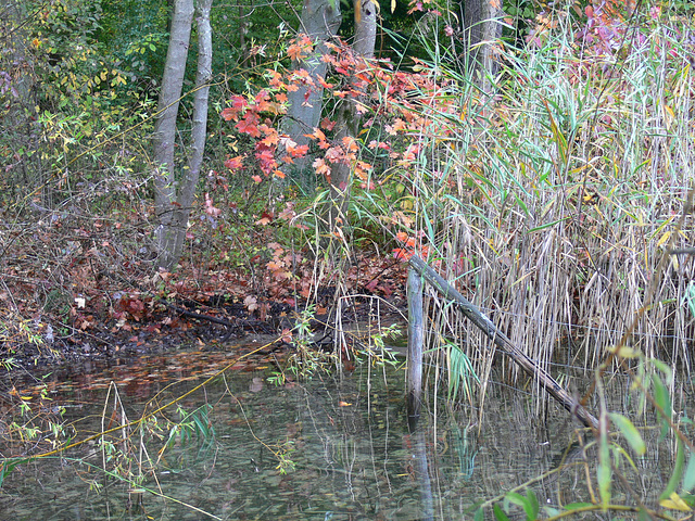 Herbsttage am Starnberger See
