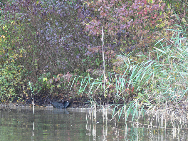 Herbsttage am Starnberger See