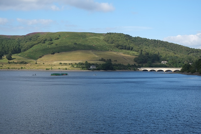 Ladybower Tor; Wood; Viaduct & Reservoir