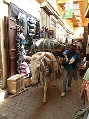 Mule in the Souk