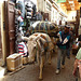 Mule in the Souk