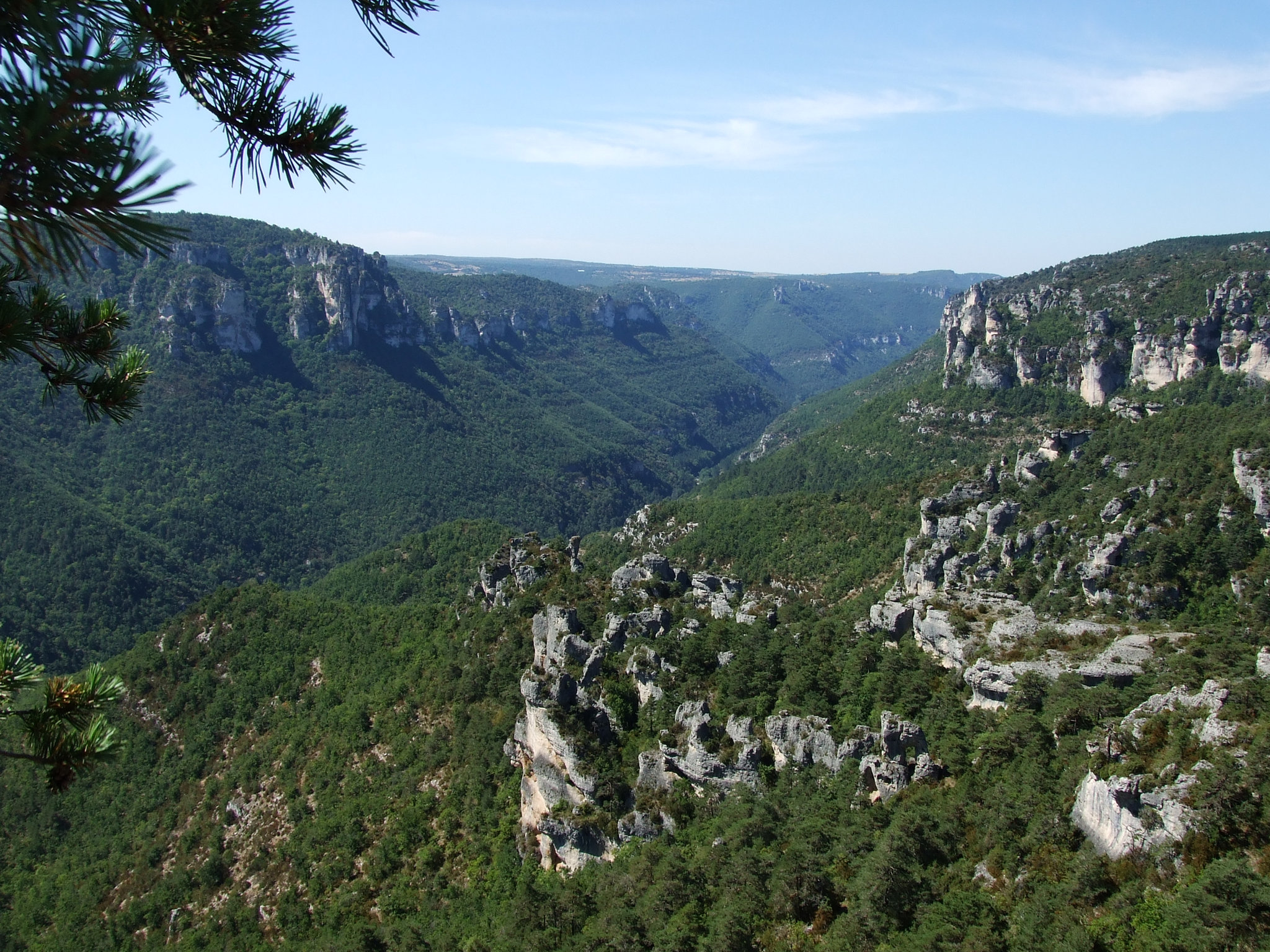 Larzac 143