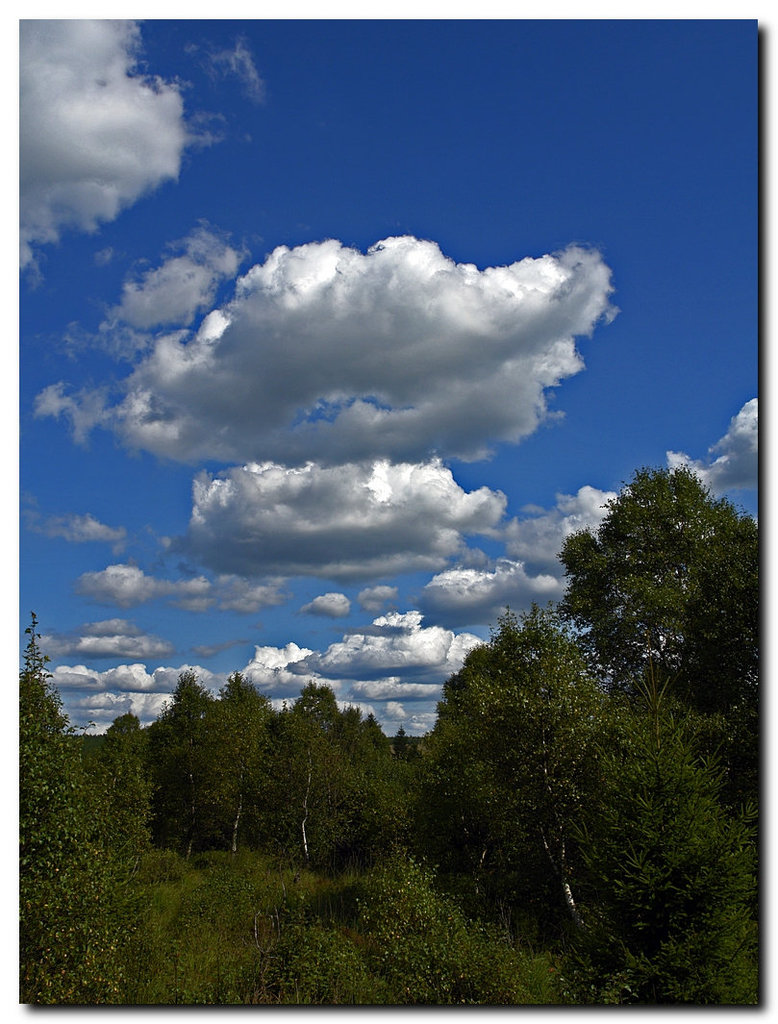 Wolken