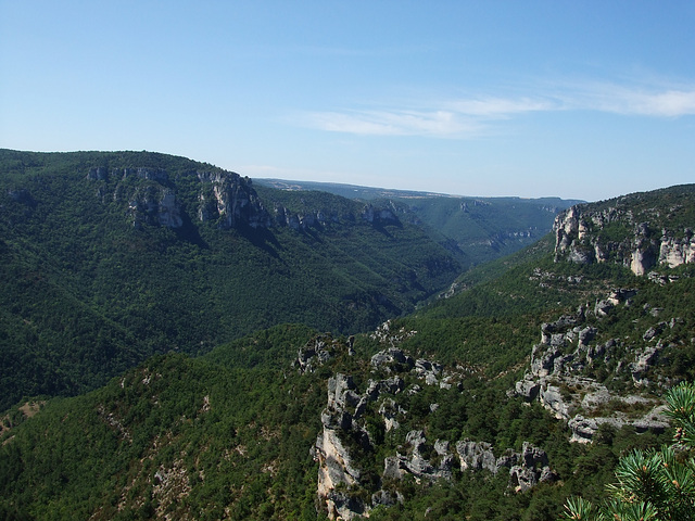 Larzac 145