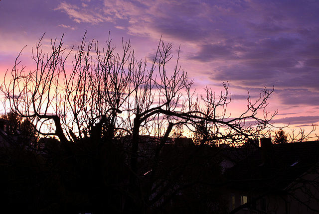 Sonnenaufgang am Bodensee