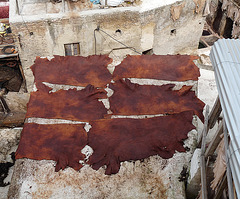 Drying the Hides