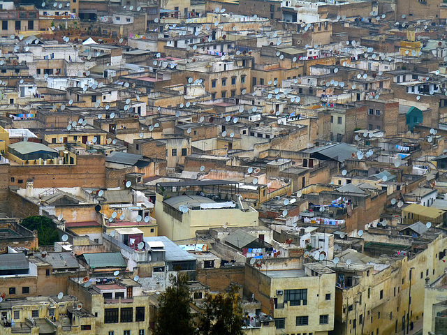 Fez Rooftops