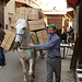 Transport in the Souk